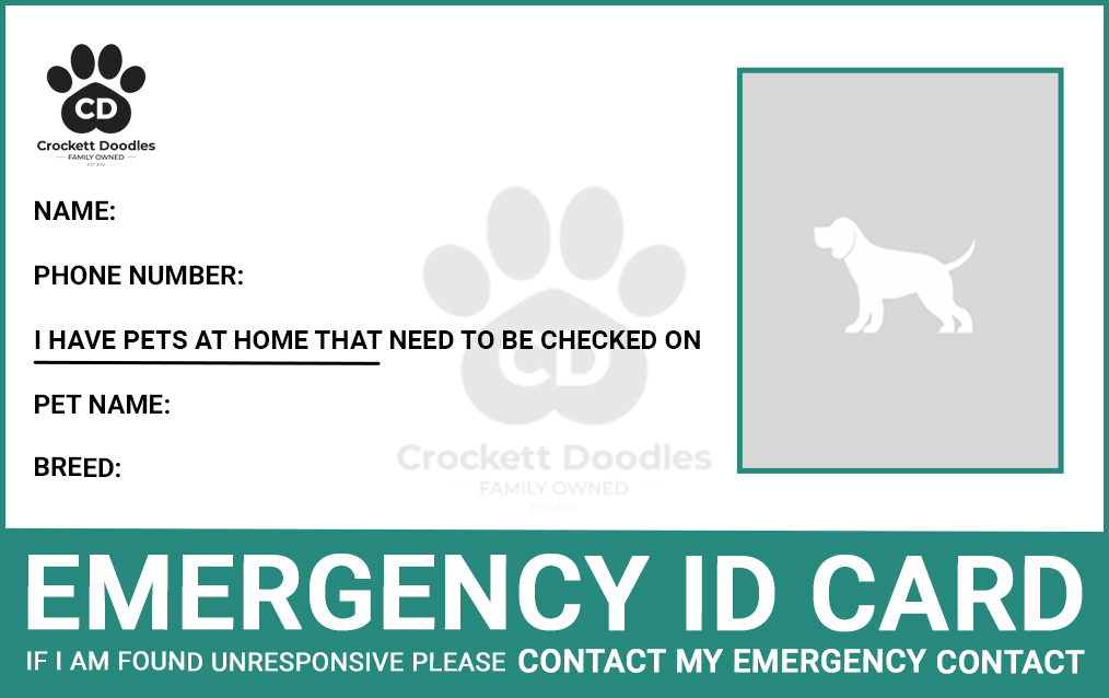 Pet Microchipping Service