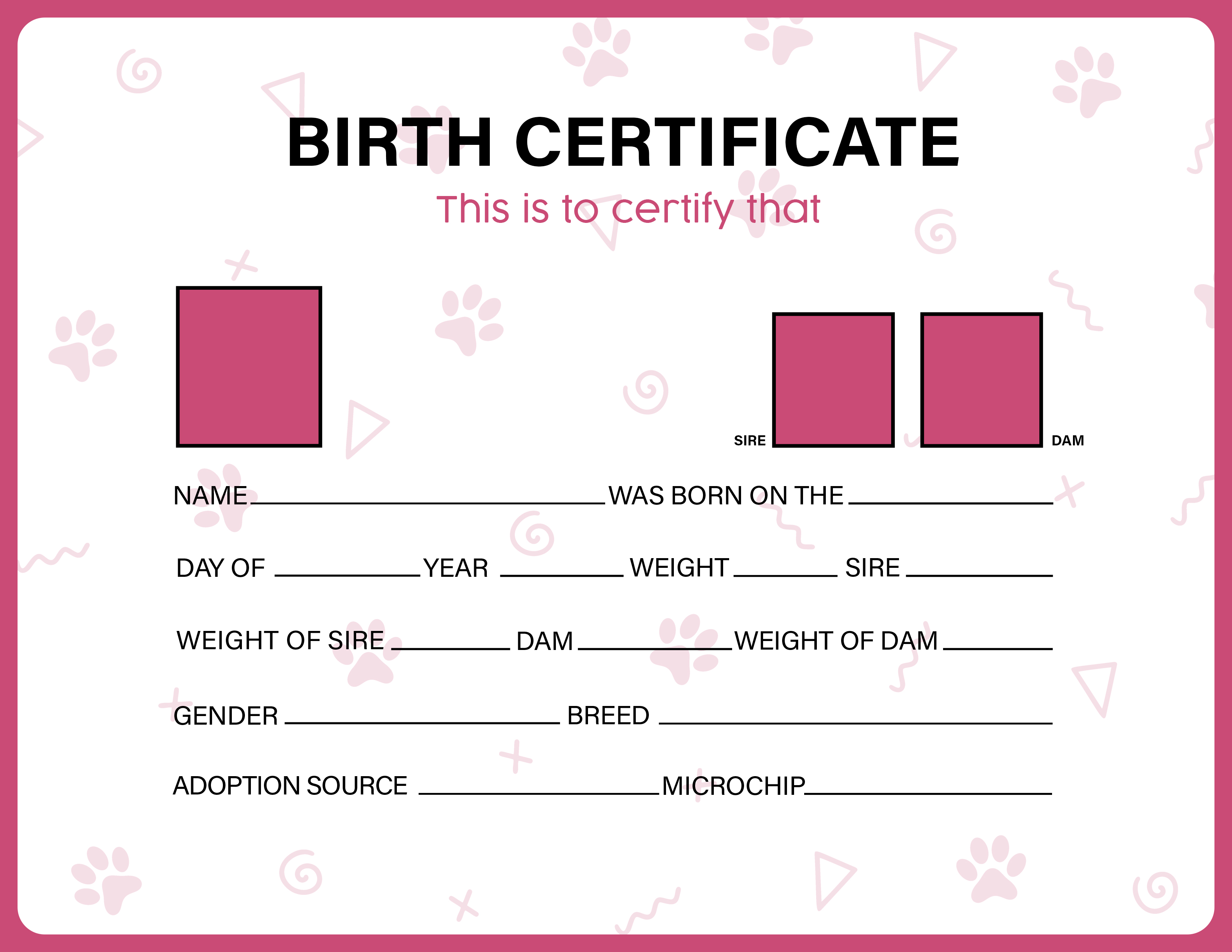 Dog Identification Tags